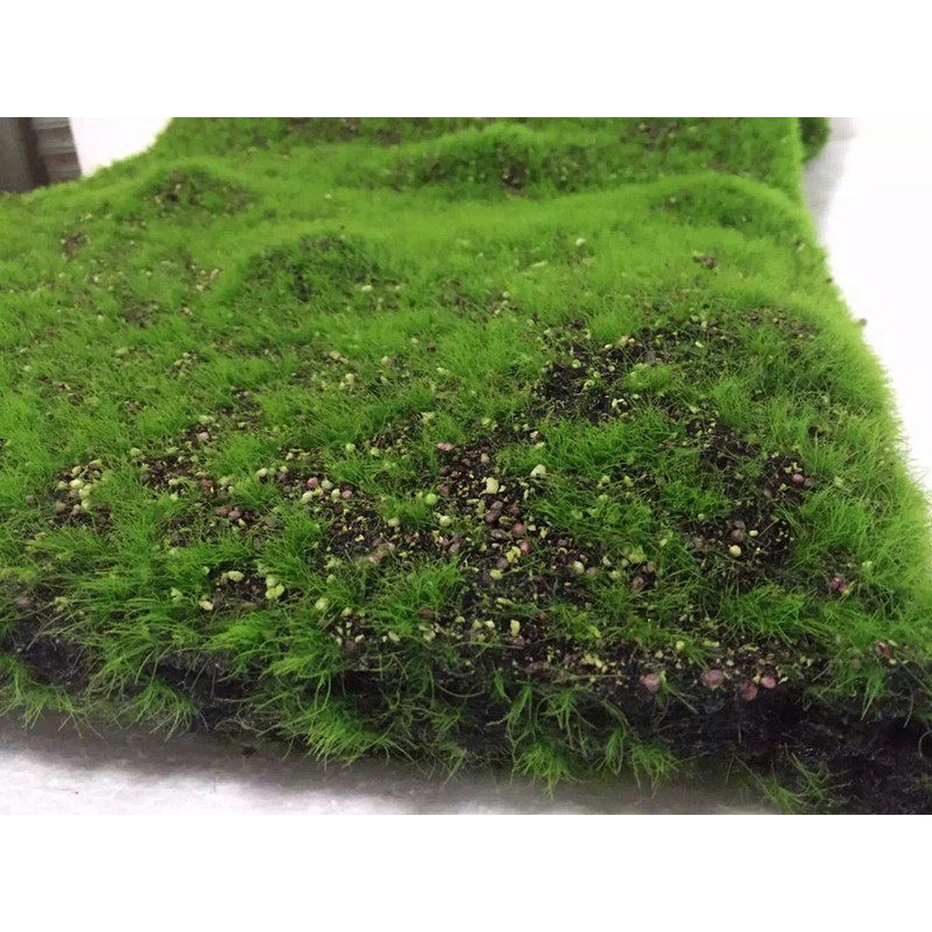 인조 이끼 장식 녹색 벚꽃나무 야자수나무 식물 옥상 꽃다발 10개묶음 53 30x30cm 1매 비고 - 상세 이미지 2