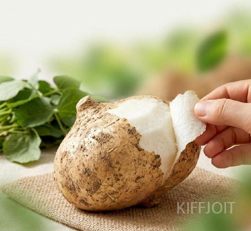 한정수량 얌빈 히카마 감자 제니오숲 - 상품 이미지