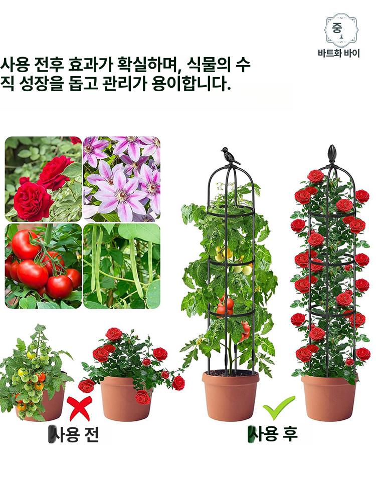 장미 덩굴 지지대 화분 식물 정원 아치 가든 화단 넝쿨 지지 오벨리스크 정원용품 - 상세 이미지 3