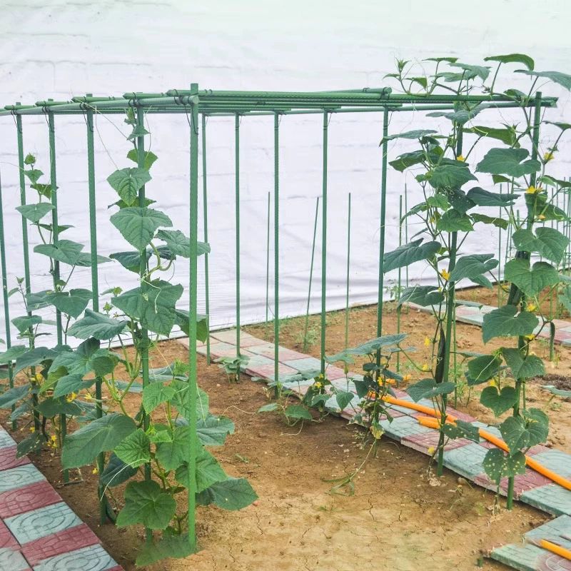 사각 수박지지대 덩굴 받침대 지주대 텃밭 모종 넝쿨지지대 높이 채소 길이 넝쿨식물 - 상세 이미지 4