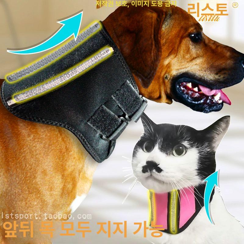강아지 디스크 재활운동 고정 보조기 척추 근력 균형 - 상세 이미지 4