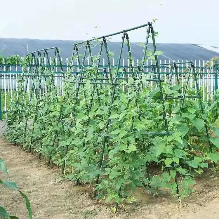 호박 지지대 오이 화분관리 원예 넝쿨 장미 포도 화분 텃밭 식물 - 상품 이미지