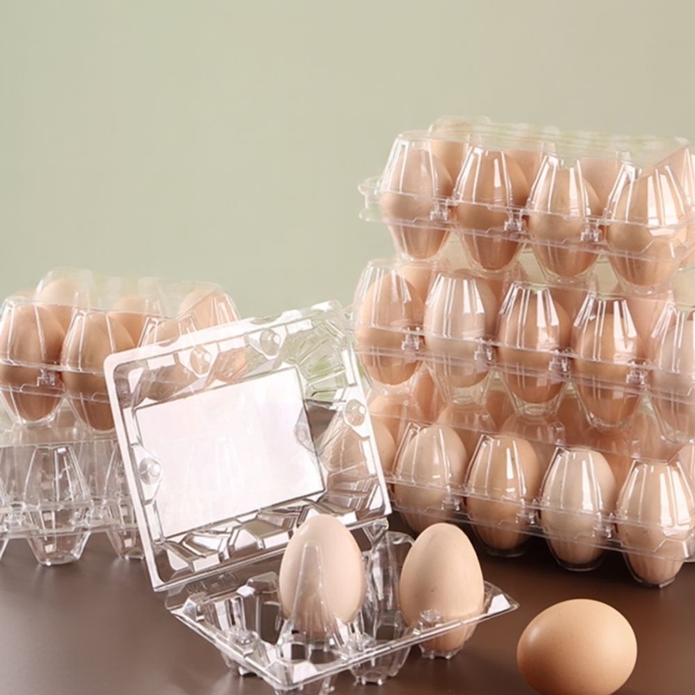 플라스틱 용기 반숙계란판 달걀 계란통 계란케이스 구운계란포장 구운계란보관함 - 상품 이미지