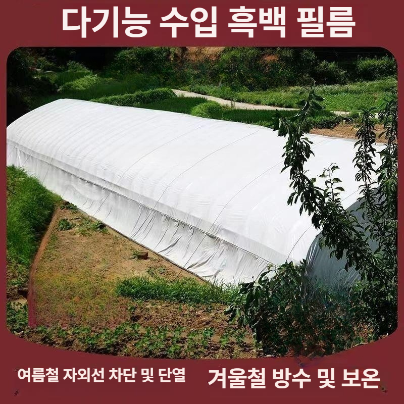 단열 에어캡 10m 베란다 창문 보온 덮개 겨울 방한 보온재 단열재 - 상세 이미지 2