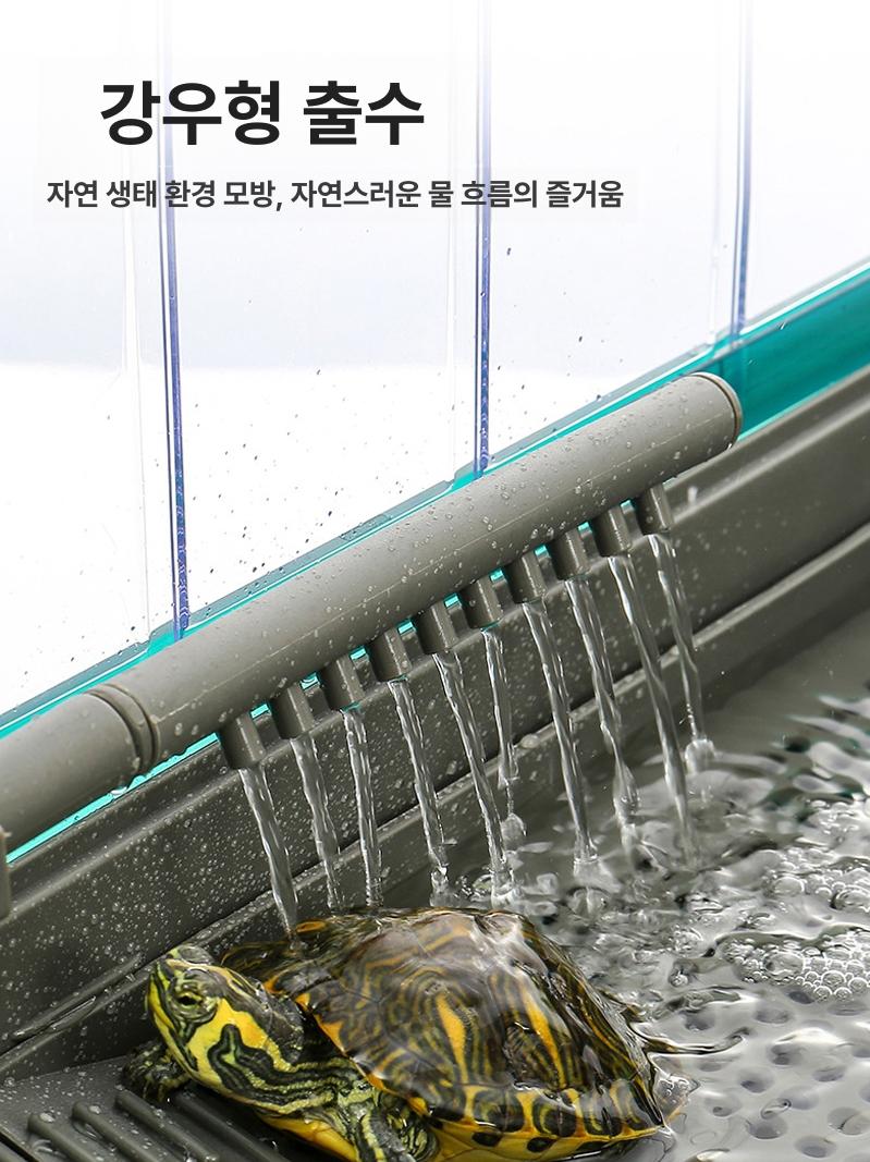 파충류사육 거북이수조 수중환경 생태관찰 아크릴 투명 키우기 반수생 테라리움 - 상세 이미지 4