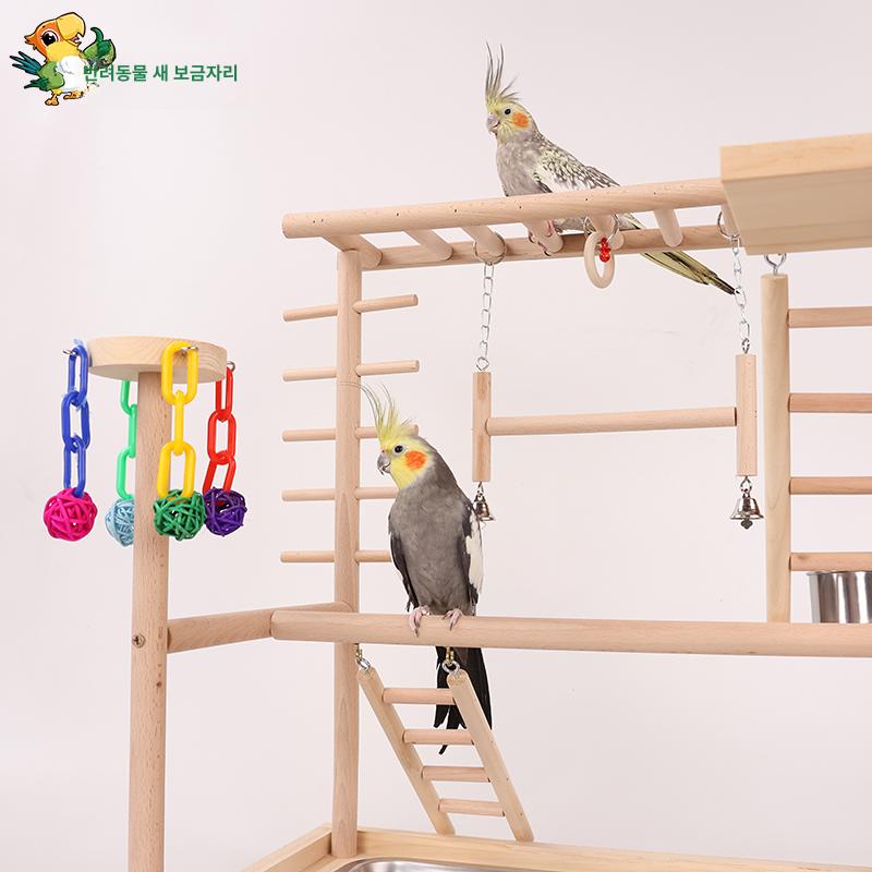 앵무새 놀이터 나뭇가지 횟대 통나무 원목 새장 키우기 조류 - 상세 이미지 5
