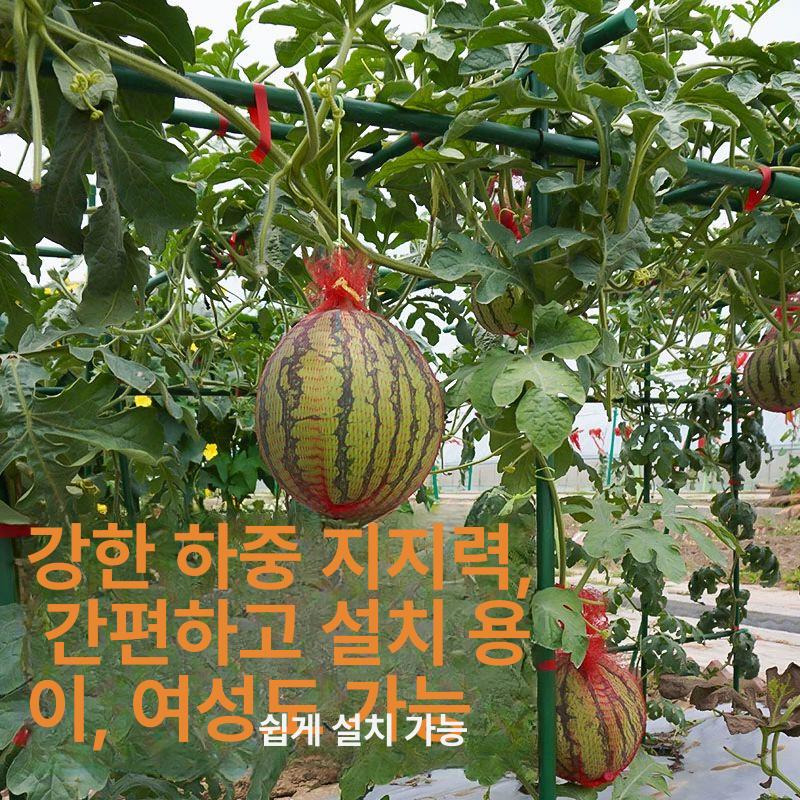 식물 지지대 철재 울타리 포도 넝쿨 장미 원예 정원 지원용품 기본형 - 상세 이미지 5