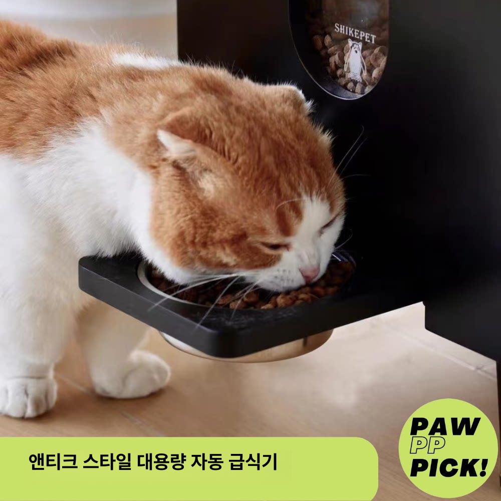 사료 반자동강아지급식기 애견 보관 급수 자동급식기 반려견밥그릇 배식 자율식기 - 상세 이미지 2
