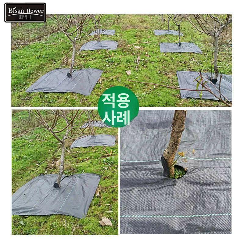 제초매트 나무보호 부직포 묘목 겨울 과일나무 잡초방지 농업용 방제용 - 상세 이미지 3