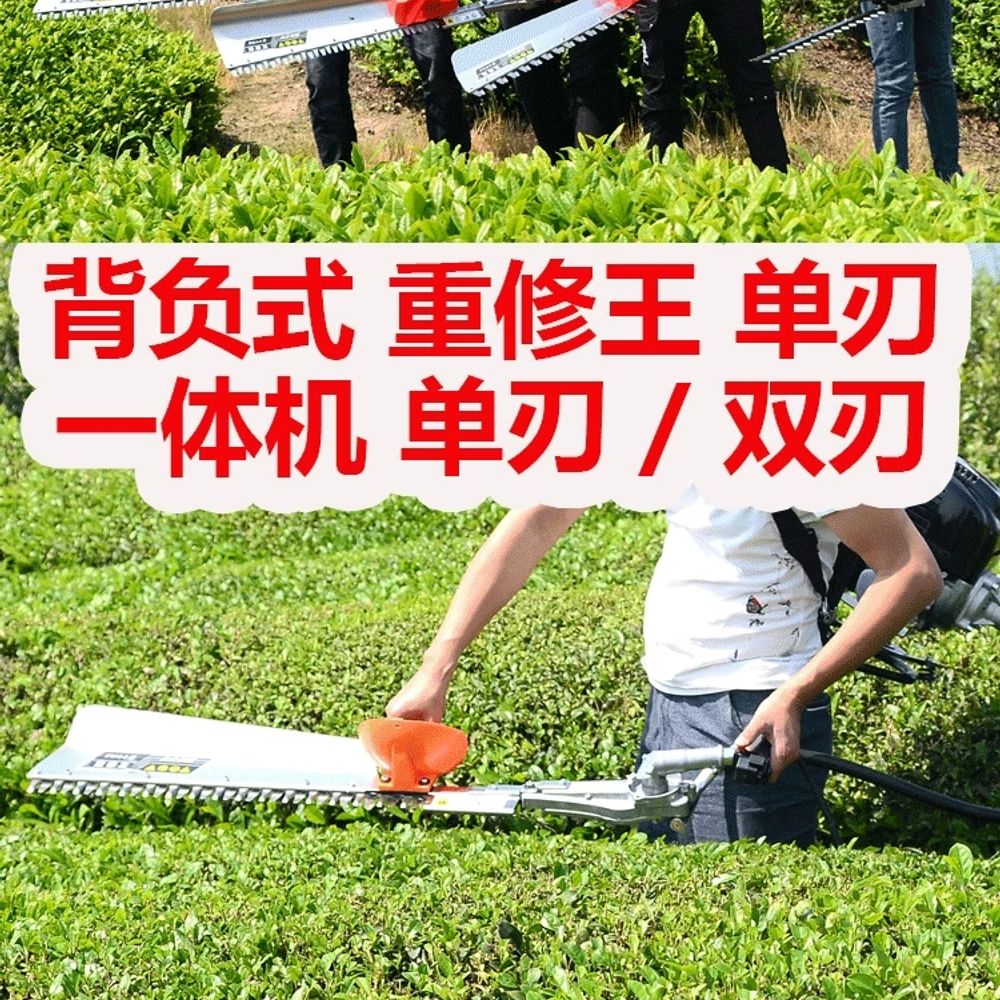 충전식 헤지트리머 원예 가지치기 양날 조경트리머 커터 잔디 고지전정기 장대 전지톱 - 상세 이미지 2