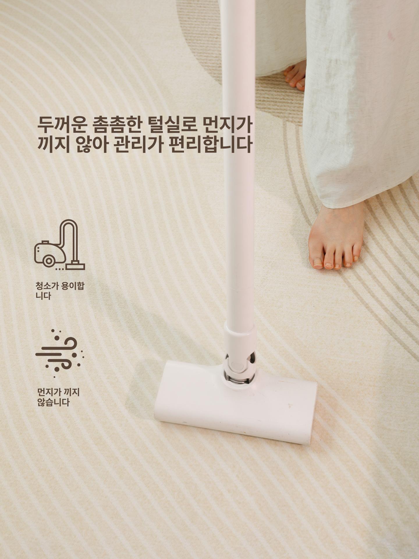 거실러그 대형 워셔블 극세사 북유럽풍 먼지방지 소프트 카펫 인테리어 패턴매트 - 상세 이미지 5
