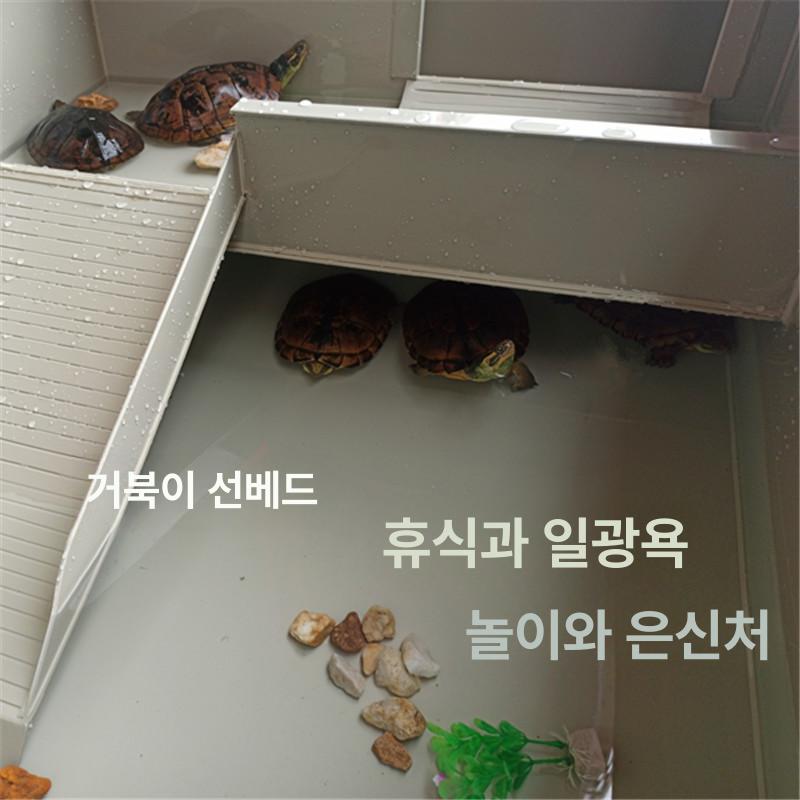 대형수조 거북이사육장 반수생 애완거북집 플라스틱 육지 거북이집 거북이수조 파충류 - 상세 이미지 4