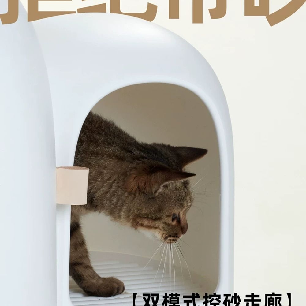 대형 화장실 방지 모래 배변 냄새차단 하우스형 극광백 사막화 빅 모스그린 후드 - 상세 이미지 4