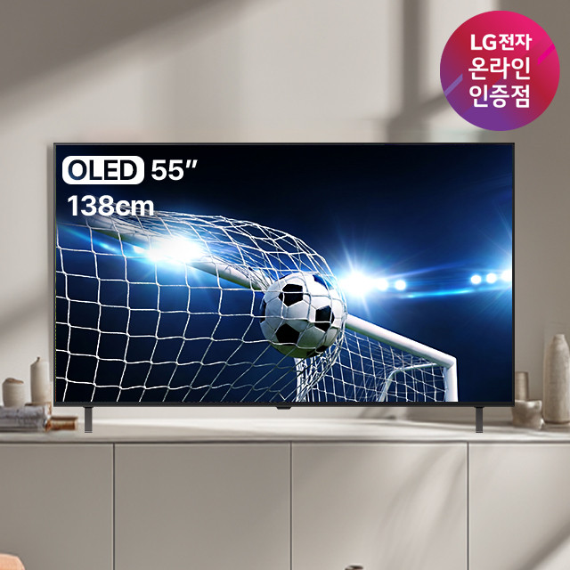 LG OLED TV AI 매직리모컨 포함 OLED55B5ENA (138cm), 스탠드