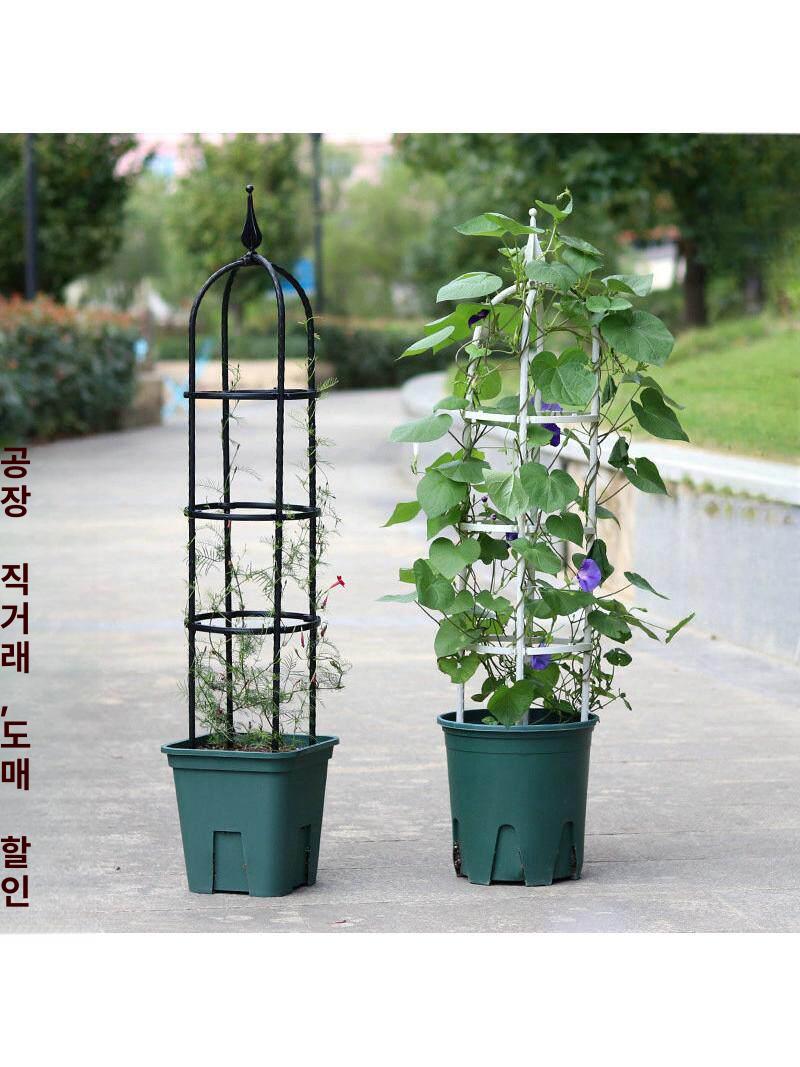 베란다 발코니 넝쿨지지대 철제 식물 덩굴기둥 호야 아치 형 선반 스탠드 덩굴 지 가든 - 상세 이미지 2