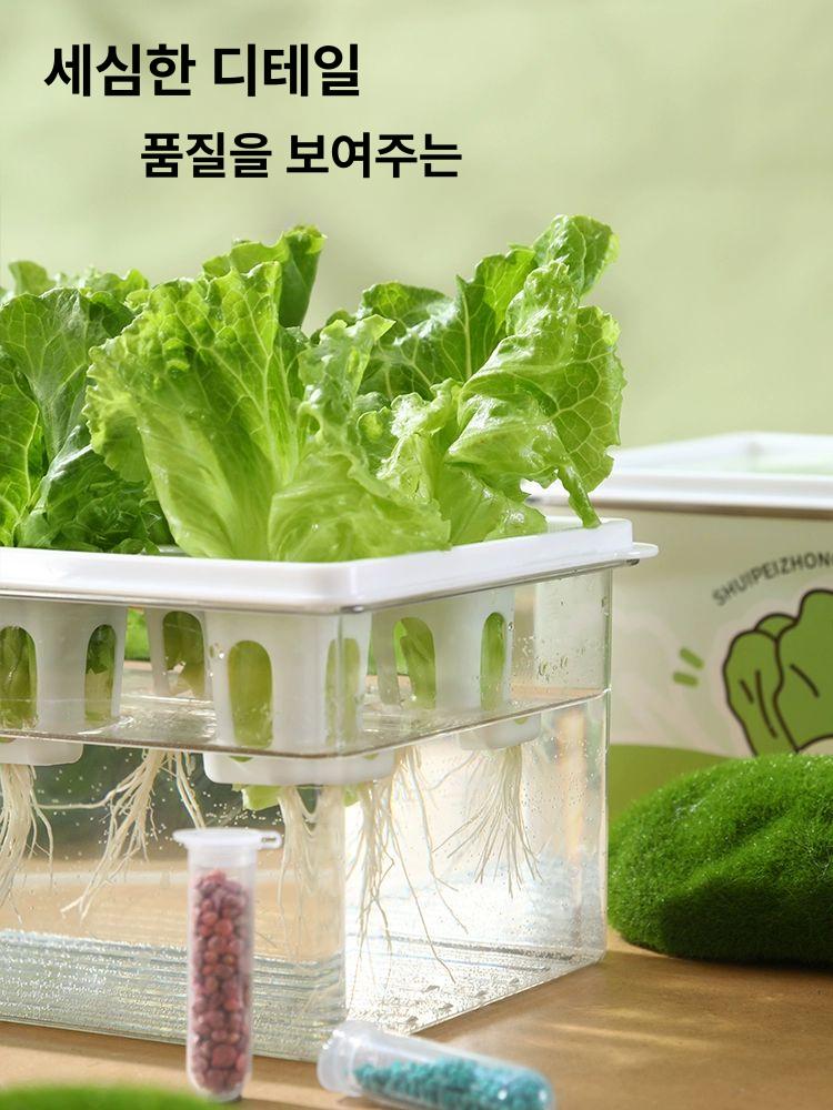 홈 수경재배 시스템 상추 쌈채 LED 조명 스마트팜 실내정원 수확 - 상세 이미지 4