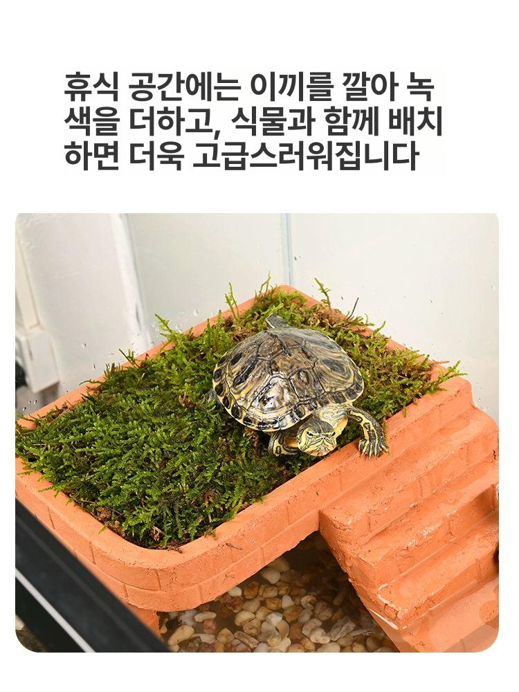 거북이 은신처 계단 선탠대 구조물 일광욕 오르기 육지 사육장 반수생 대형 어항 쉼터 - 상세 이미지 4
