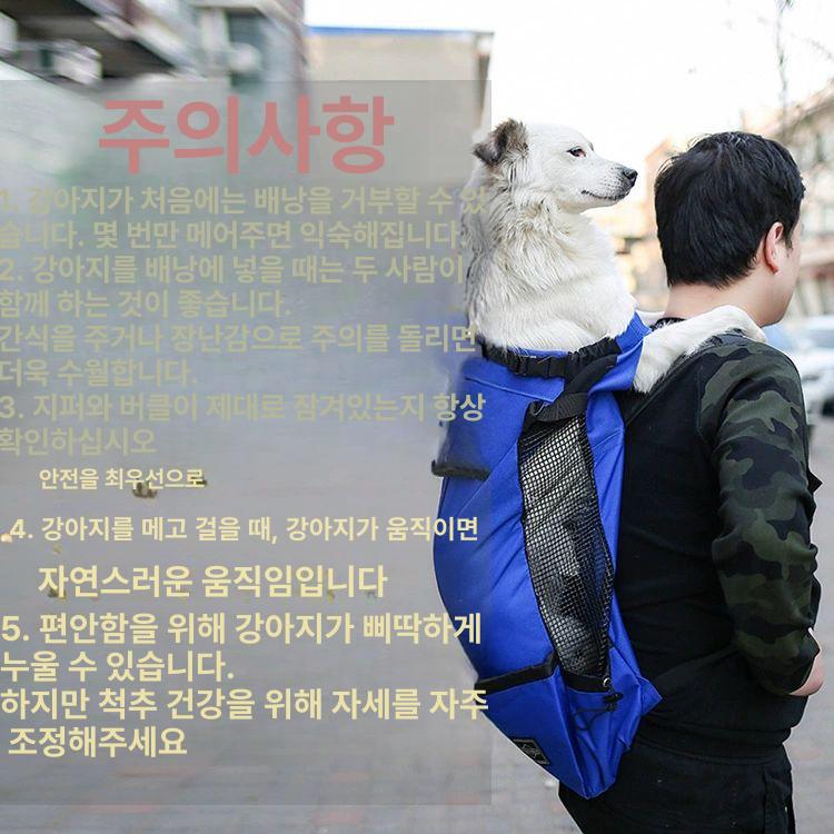 애견 강아지백팩 산책 나들이 이동가방 캐리어 배낭 강아지가방 여행 어깨 캔버스백팩 - 상세 이미지 5