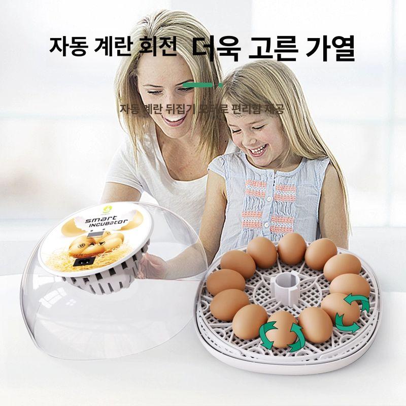 병아리 거위 메추기 계란 전자동 부화기 온습도 자동 조절 육추 인큐베이터 - 상세 이미지 3
