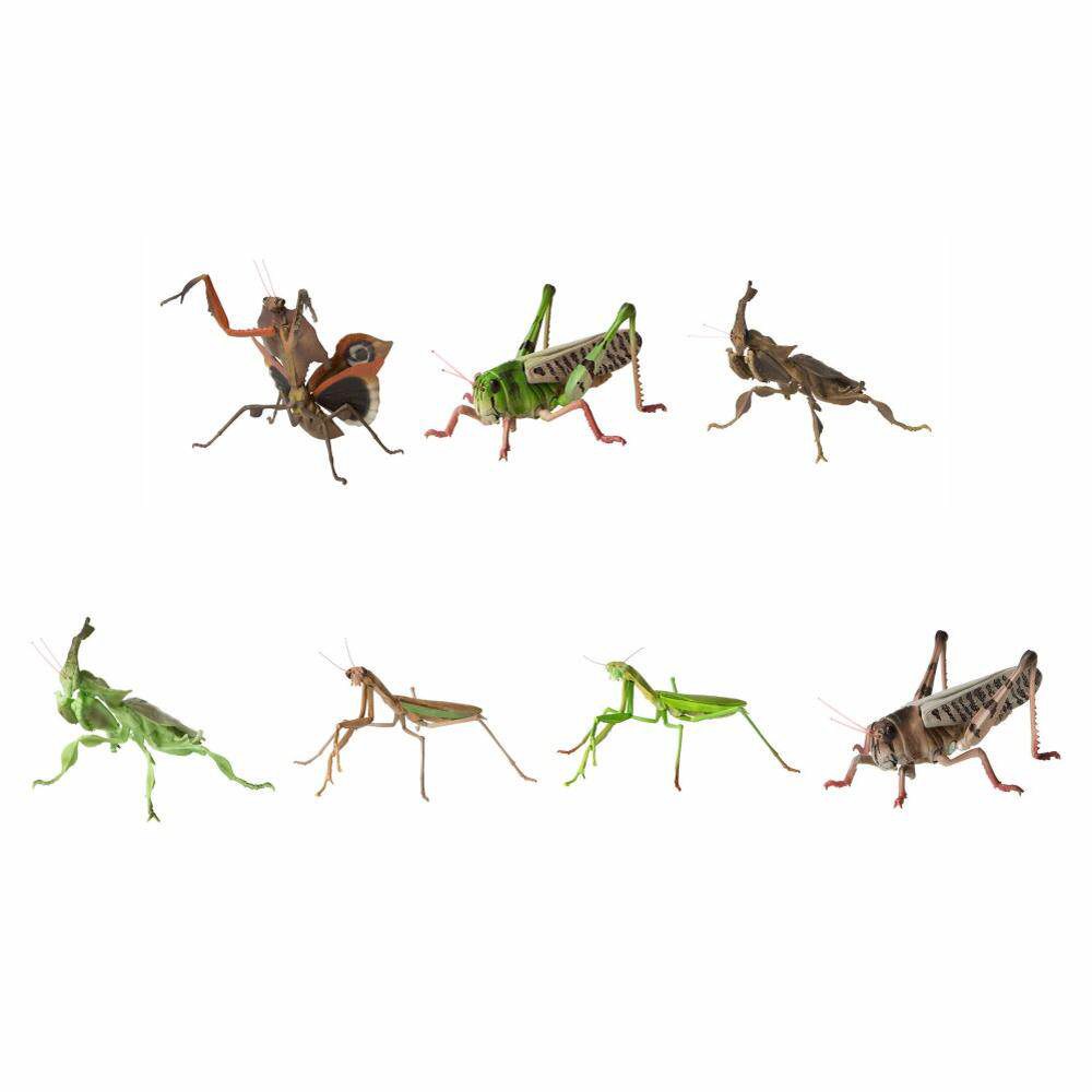 사마귀 메뚜기 곤충 소품 악마꽃사마귀 모형 도마 과학 컬렉션 갈색 06 의 메뚜기 그린 - 상세 이미지 2