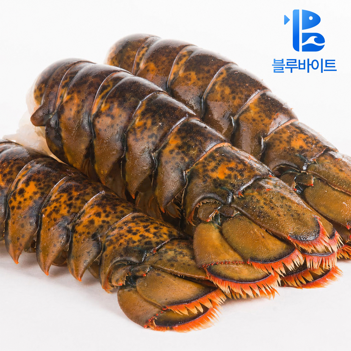 랍스터 테일 냉동 가재꼬리 4oz 4.54kg - 상품 이미지