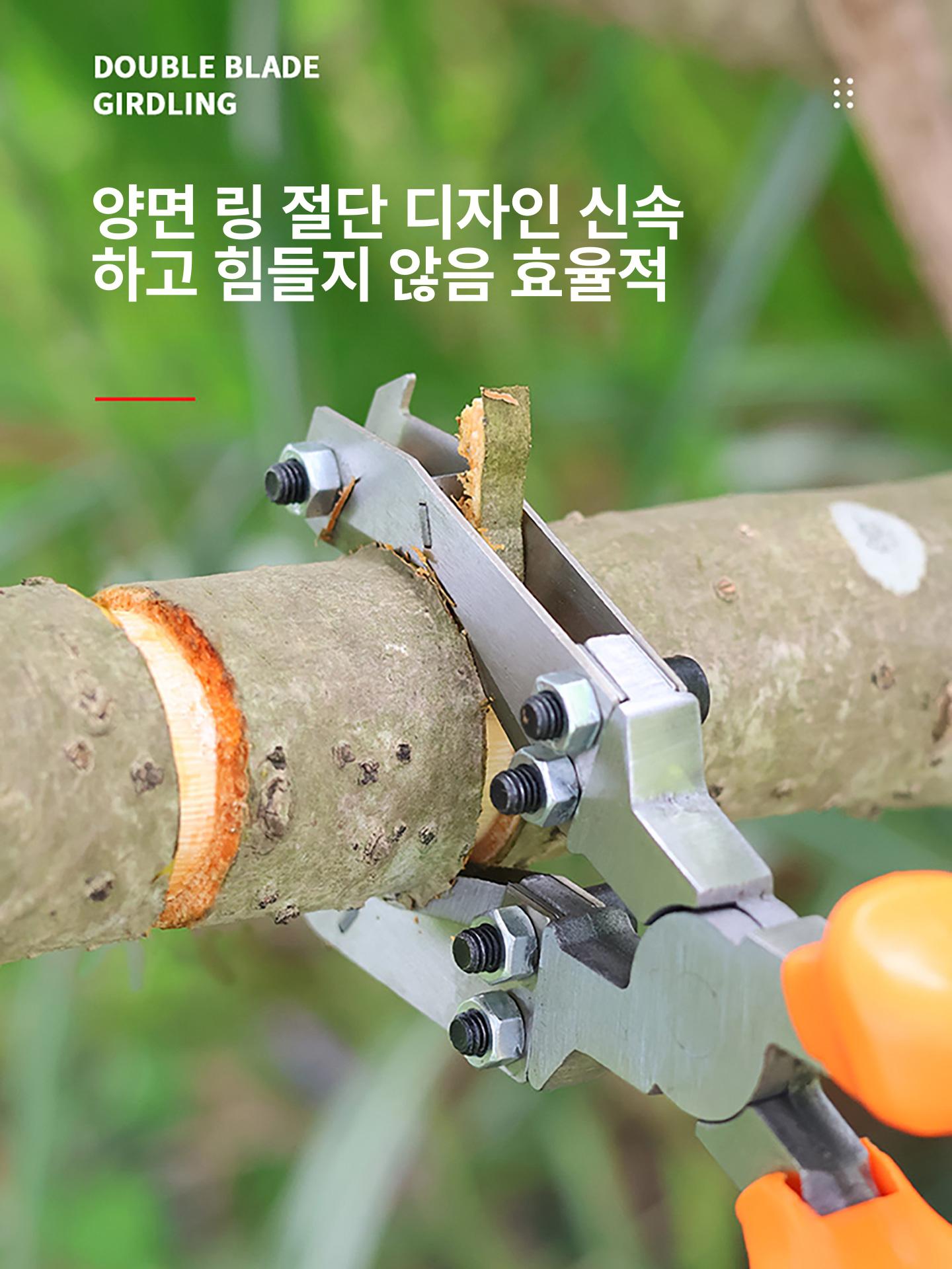 과일 박피가위 포도 대추 사과 껍질제거 원예용 정원 가지치기 전정가위 농사용 - 상세 이미지 3