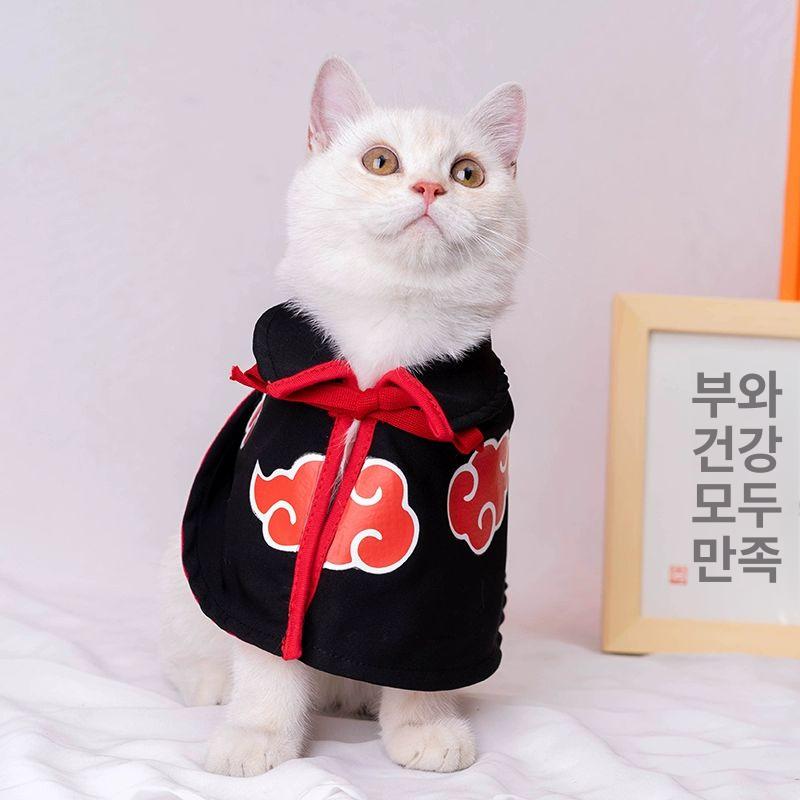 고양이 망토 코스프레 애완동물 뱀파이어 애견 호박 반려동물 날개 박쥐 숄 반려견 - 상세 이미지 2