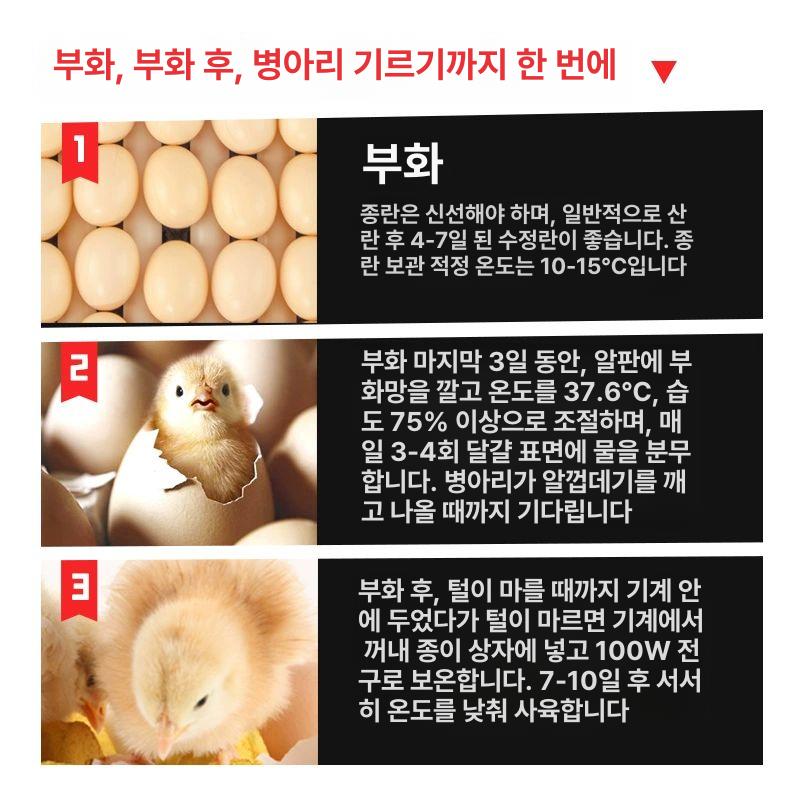 대형 계란부화기 자동회전 유정란 다기능 육추기 습도 단전삼용기 온도 전기 - 상세 이미지 5