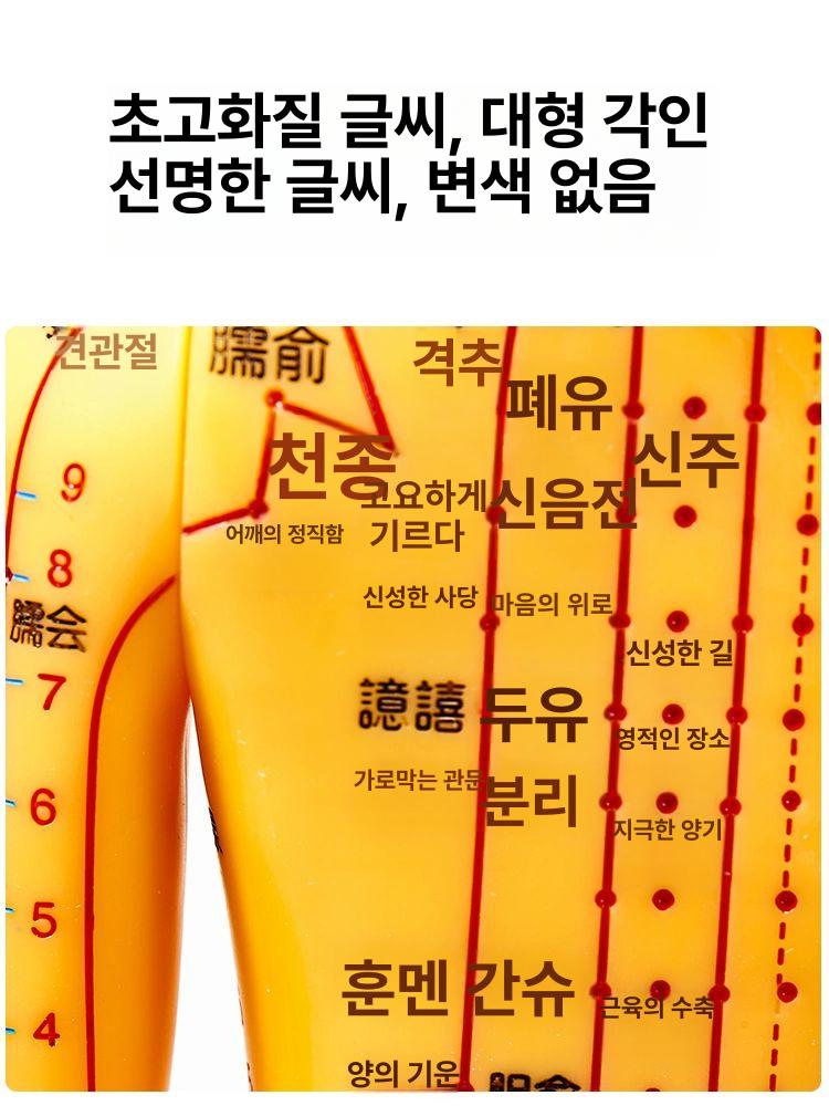 인체경락모형 경혈 전신 교습용 침술인체모형 혈점 모델 교육용 남성 경락 인형 실습 한의원 - 상세 이미지 2