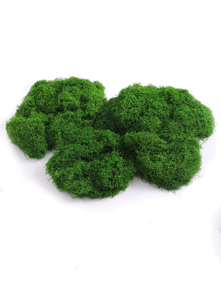 가짜이끼 조경 인테리어 화분 인조이끼 식물 잔디 모스 데코 카페 벽면 - 상세 이미지 5