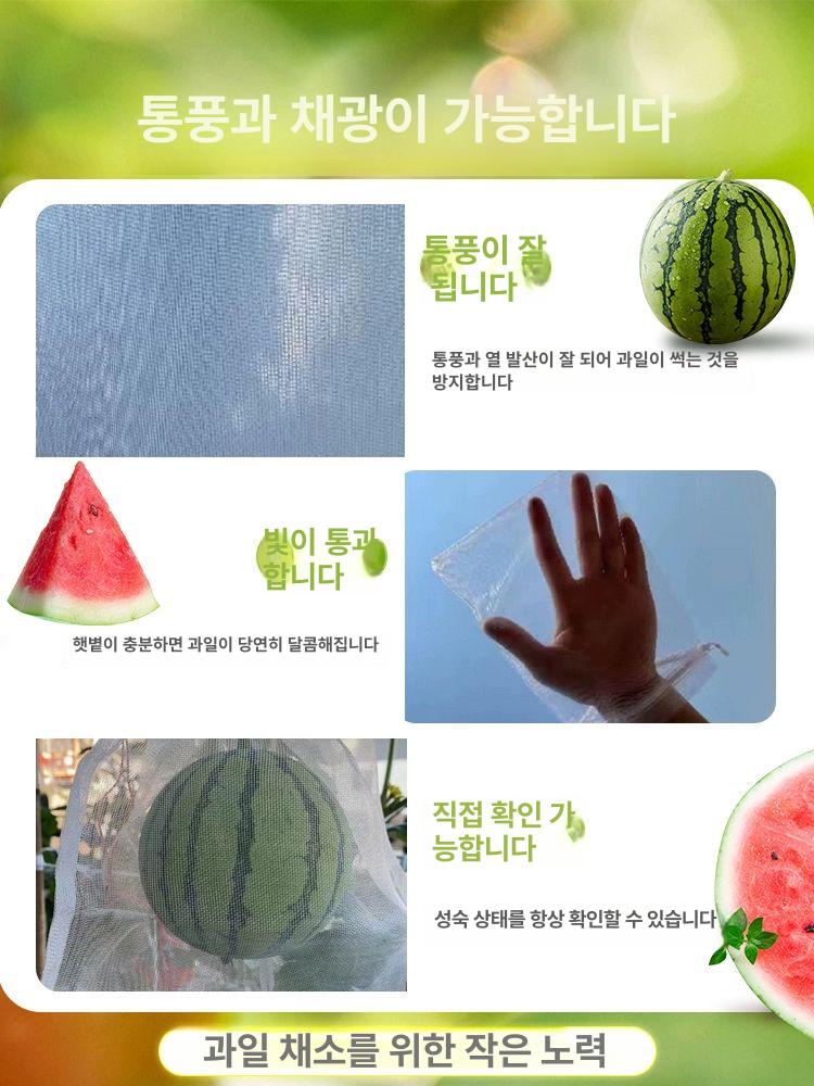 과일 봉지 새방지 보호 블루베리 해충 딸기 그물망 세트 벌레 복숭아 조류 싸개 메쉬 망 - 상세 이미지 3