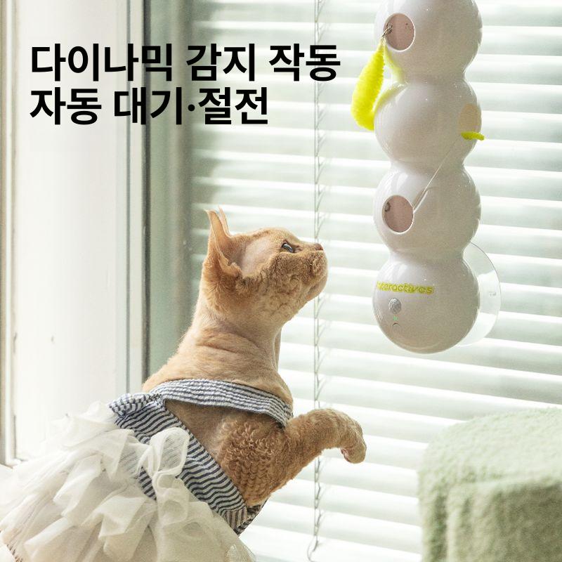 고양이 장난감 유리창 전동 반려묘 사냥 자동 실내 곤충 센싱 반응 상호작용 재미있는 놀이 용품 - 상세 이미지 5