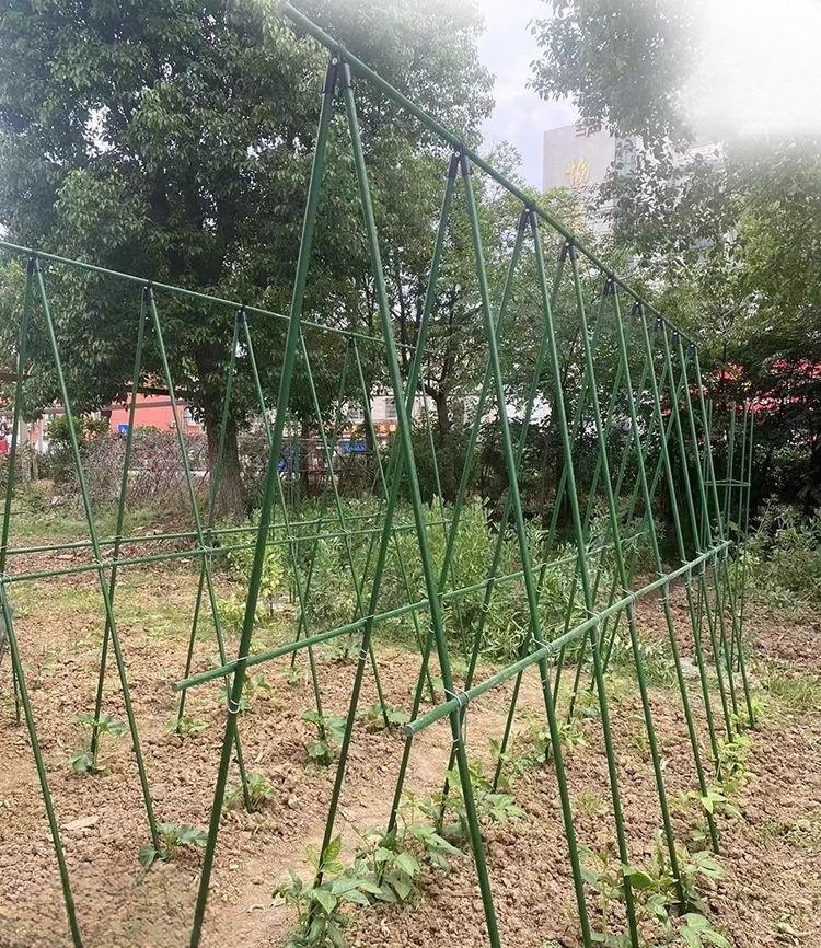 텃밭 지지대 원예 오이 토마토 조립식 지주대 거치대 고정 식물 - 상품 이미지