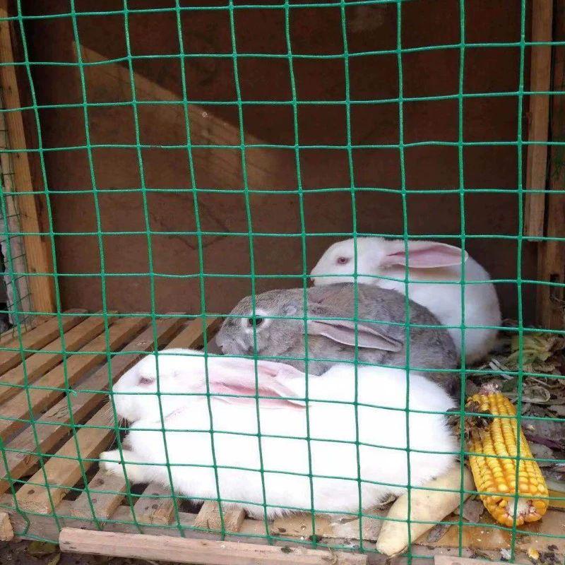 멧돼지 울타리망 철조망 야외 닭장망 양계망 구멍 길이 방지 원형 노루 철선 안전 - 상세 이미지 5