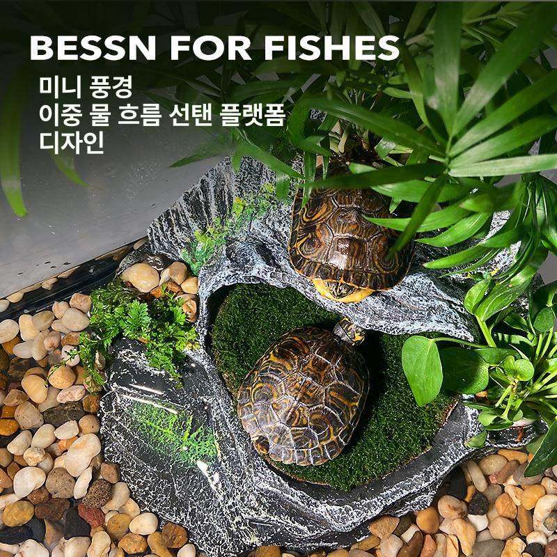 얕은 촬영용 플라스틱 어항 반수생 생태 관찰 투명 수조 대형 키우기 용품 - 상세 이미지 3