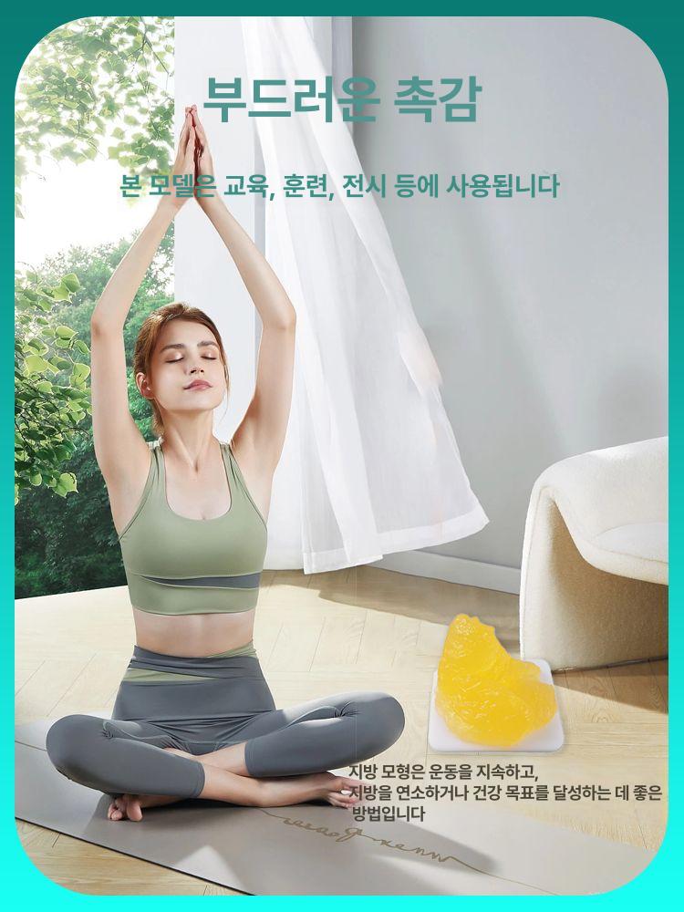 지방 모형 1kg 받침대 세트 인체 의료용 실리콘 교육 모델 병원 학습용 - 상세 이미지 5