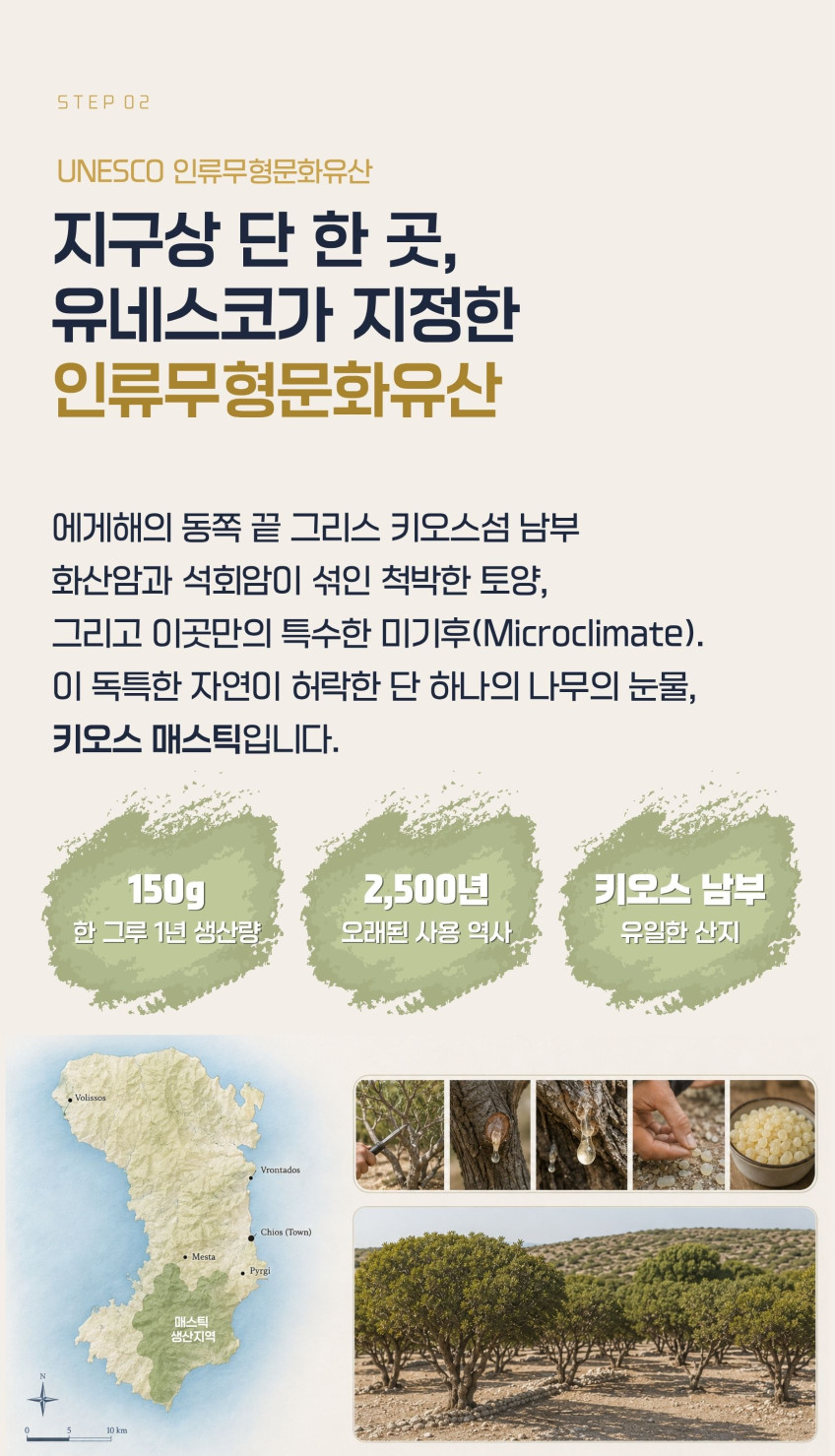매스틱스 매스틱 오일 60캡슐, 2개 판매처 상세 정보 이미지 4