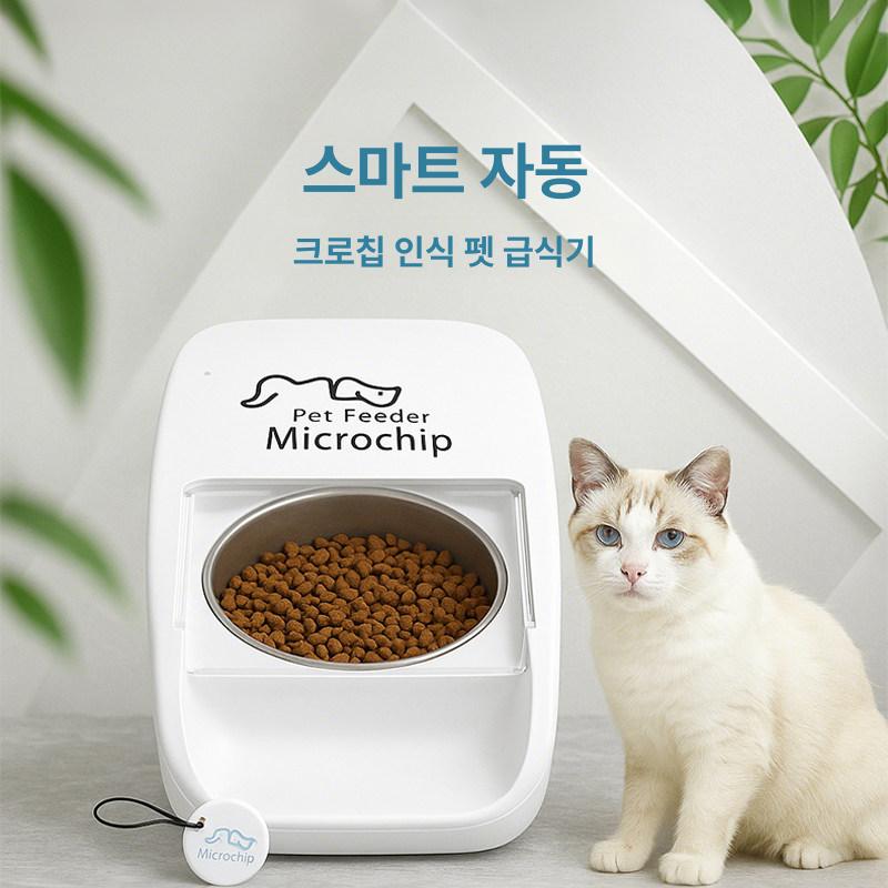 고양이 자동급식기 다묘가정 칩 감지 밥그릇 사료 반려묘 애완동물 자동인식 배식기 - 상세 이미지 3