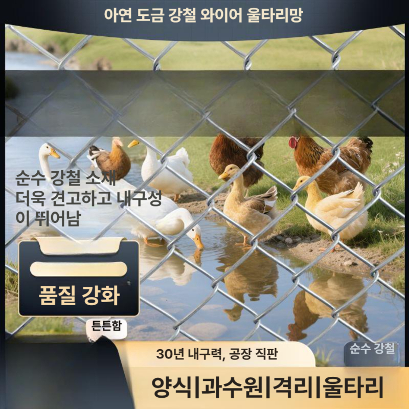 닭장 철망 울타리 안전 휀스 와이어 능형망 양계 축사 보호망 철조망 - 상세 이미지 2