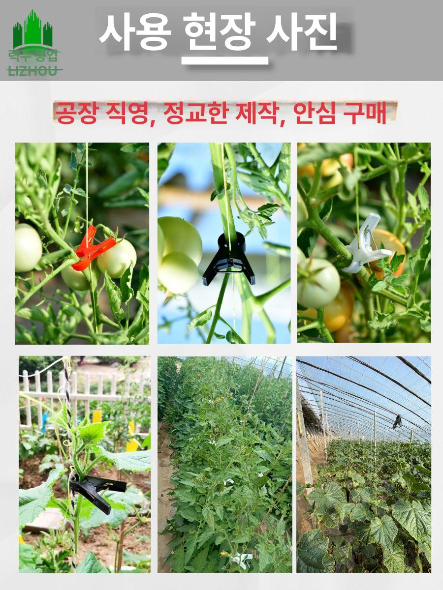 식물 줄기 고정 클립 원예 농사용 고추 작물 가지 지지대 묶음 집게 - 상세 이미지 5