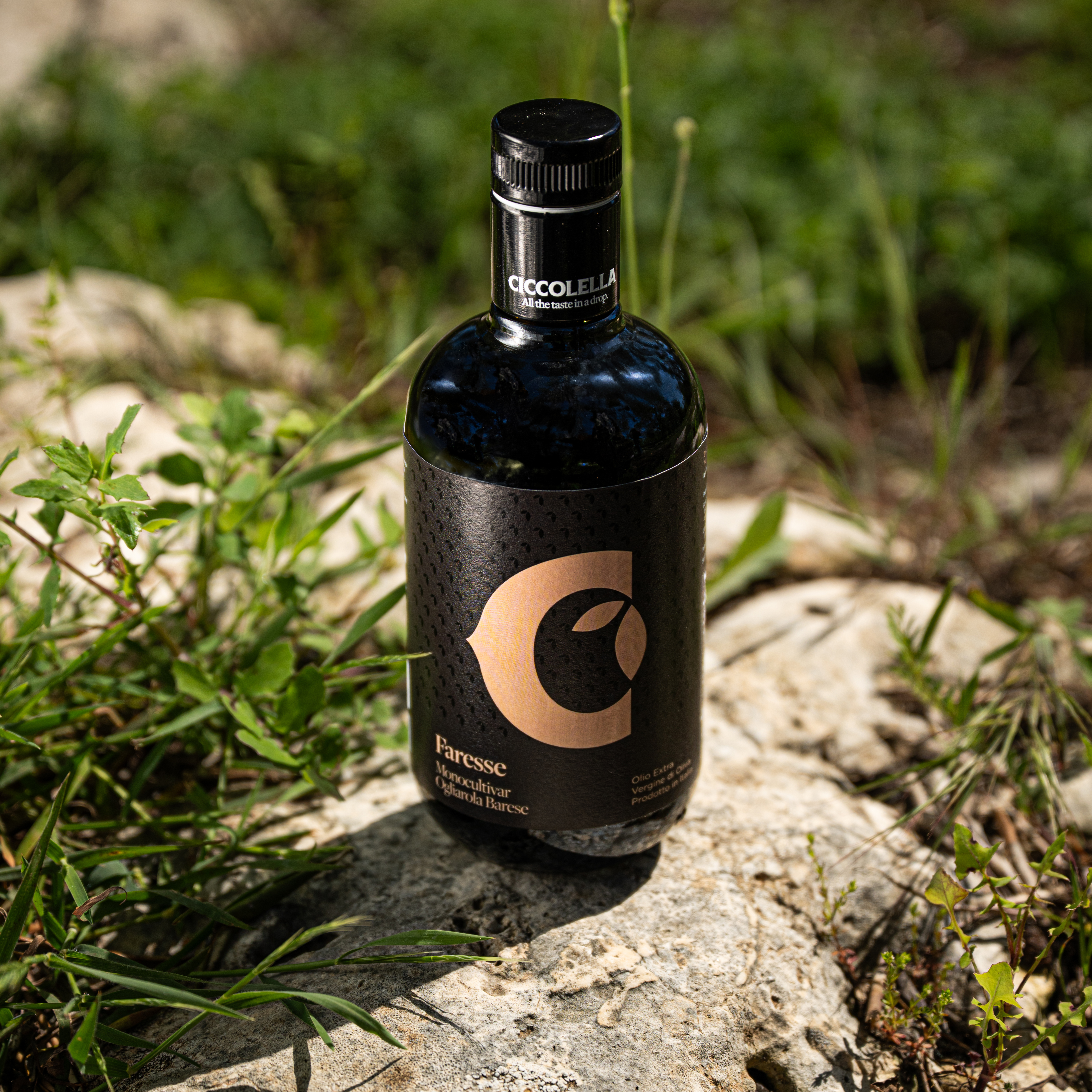 폴리페놀 733mg 산도 0.15 이탈리아 엑스트라버진 올리브오일 치코렐라 파레세 500ml - 상세 이미지 3