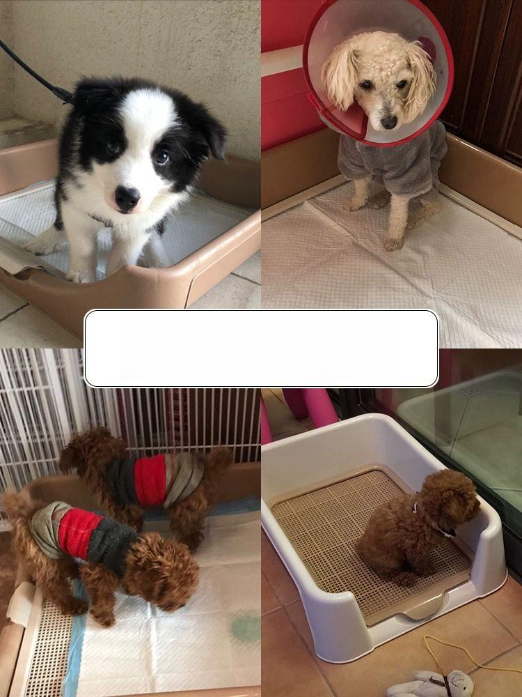 대형 배변판 강아지 훈련용 패드 화장실 펫 가림막 논슬립 애견 매트 - 상세 이미지 4