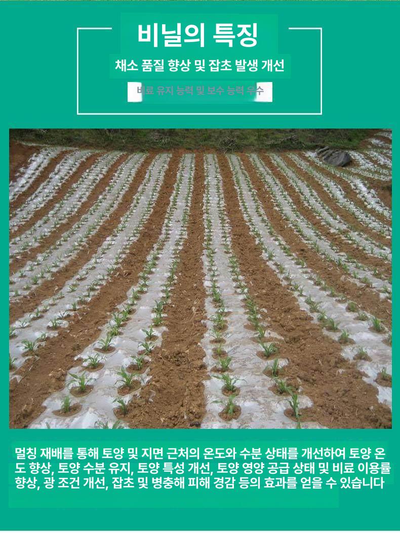 농업용 백색 비닐 필름 멀칭 롤 보온 방습 양파 채소 재배 보호재 - 상세 이미지 3