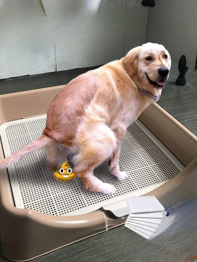 대형 배변판 강아지 훈련용 패드 화장실 펫 가림막 논슬립 애견 매트 - 상세 이미지 2