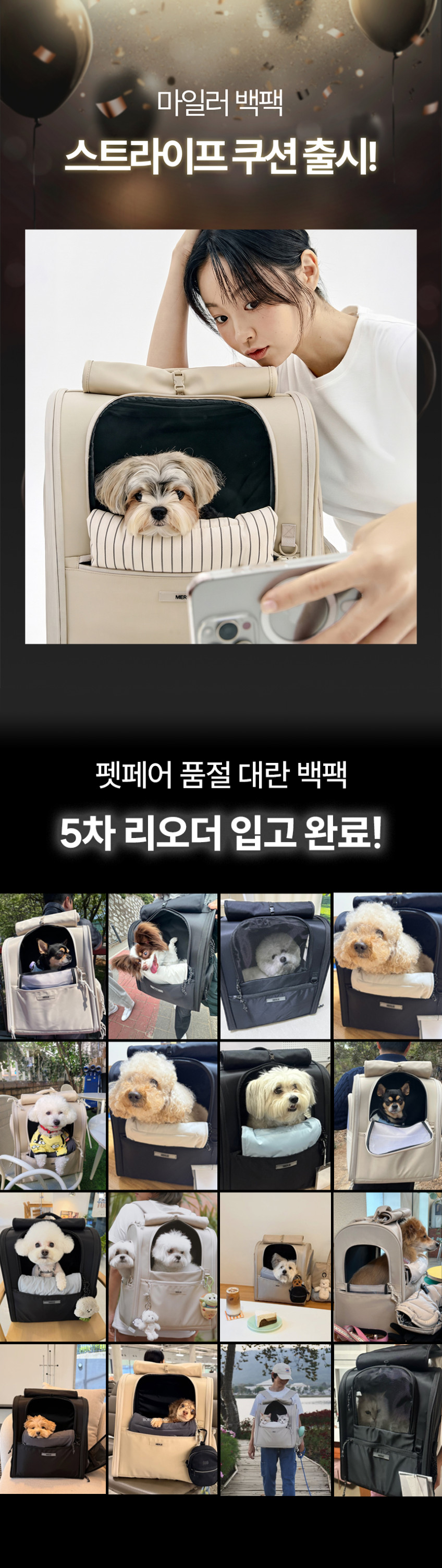 멀리 강아지 이동가방 반려견 백팩 애견 고양이 이동장 쿠션제공 마일러백팩-블랙 판매처 상세 정보 이미지 2
