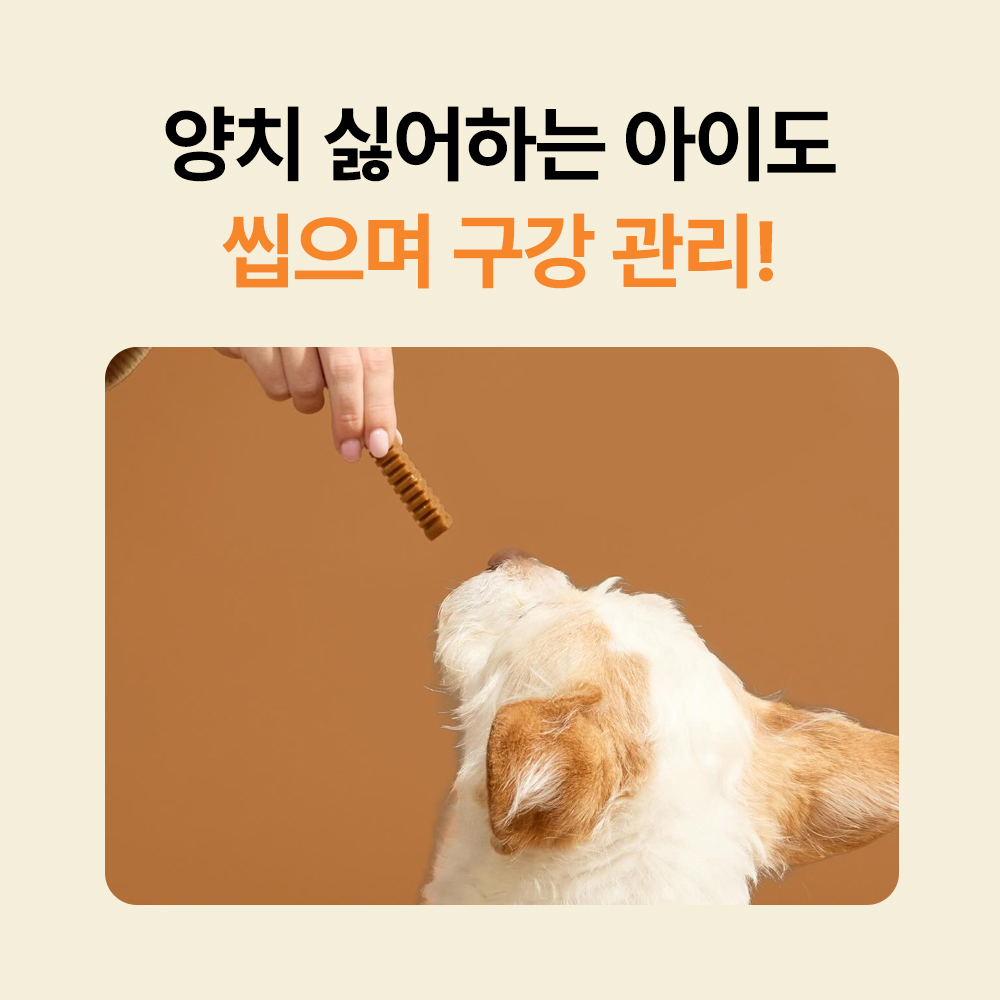포켄스 카누들 에코팩 840g 강아지 덴탈껌 치석 입냄새 제거 개껌 그레인프리 상품 이미지