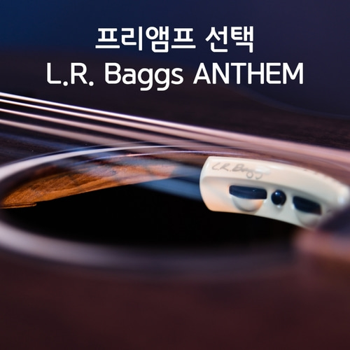 [최다구성품지급] 크래프터 마인드MIND W PREMIUM-D/ 탑백솔리드/ 드레드넛 이미지 7