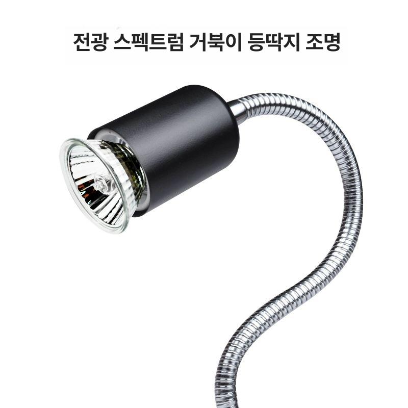 반수생 거북이어항 파충류 키우기 테라리움 하우스 탱크 오픈형 생태 쉼터 아크릴 - 상세 이미지 5