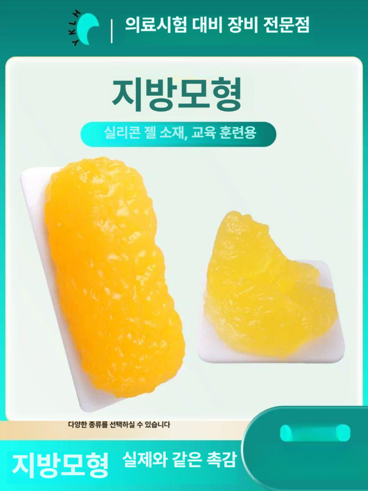 지방 모형 1kg 받침대 세트 인체 의료용 실리콘 교육 모델 병원 학습용 - 상세 이미지 2