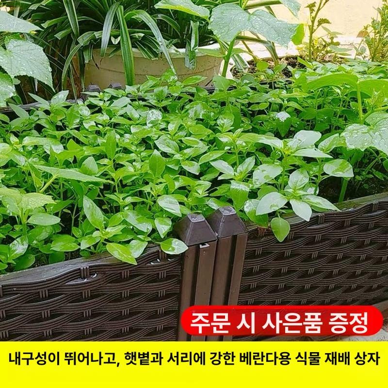 야외 테라스 베란다 발코니 정원 플랜터 대형 화분 상자 조립식 파티션 - 상세 이미지 3
